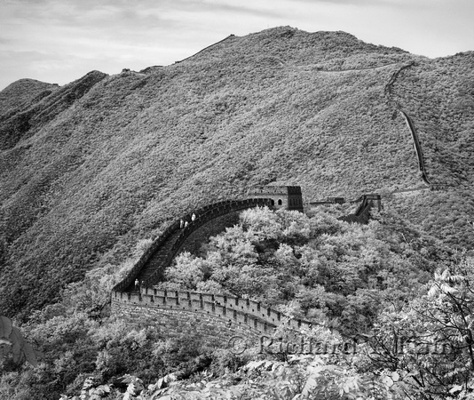 Great Wall Study #3