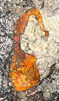 Rock Abstract 2007-1