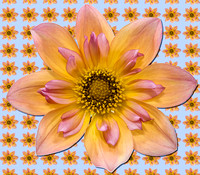 Flower pattern #1