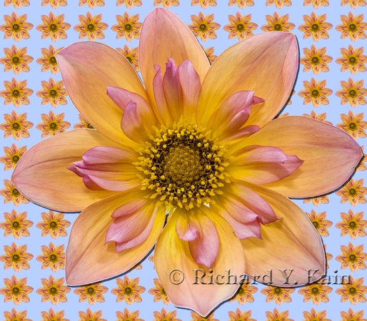 Flower pattern #1