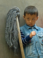 Mop Shy