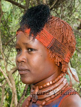 Hamar Wife