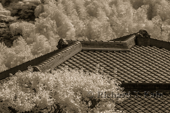 Roof of the Iso Residence