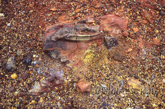 Colored Lava