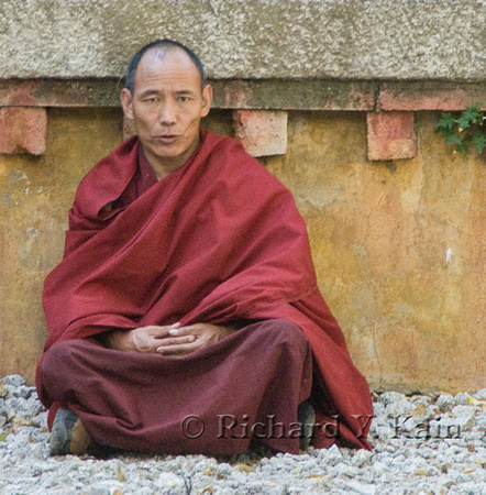 Meditation Despite Photographer